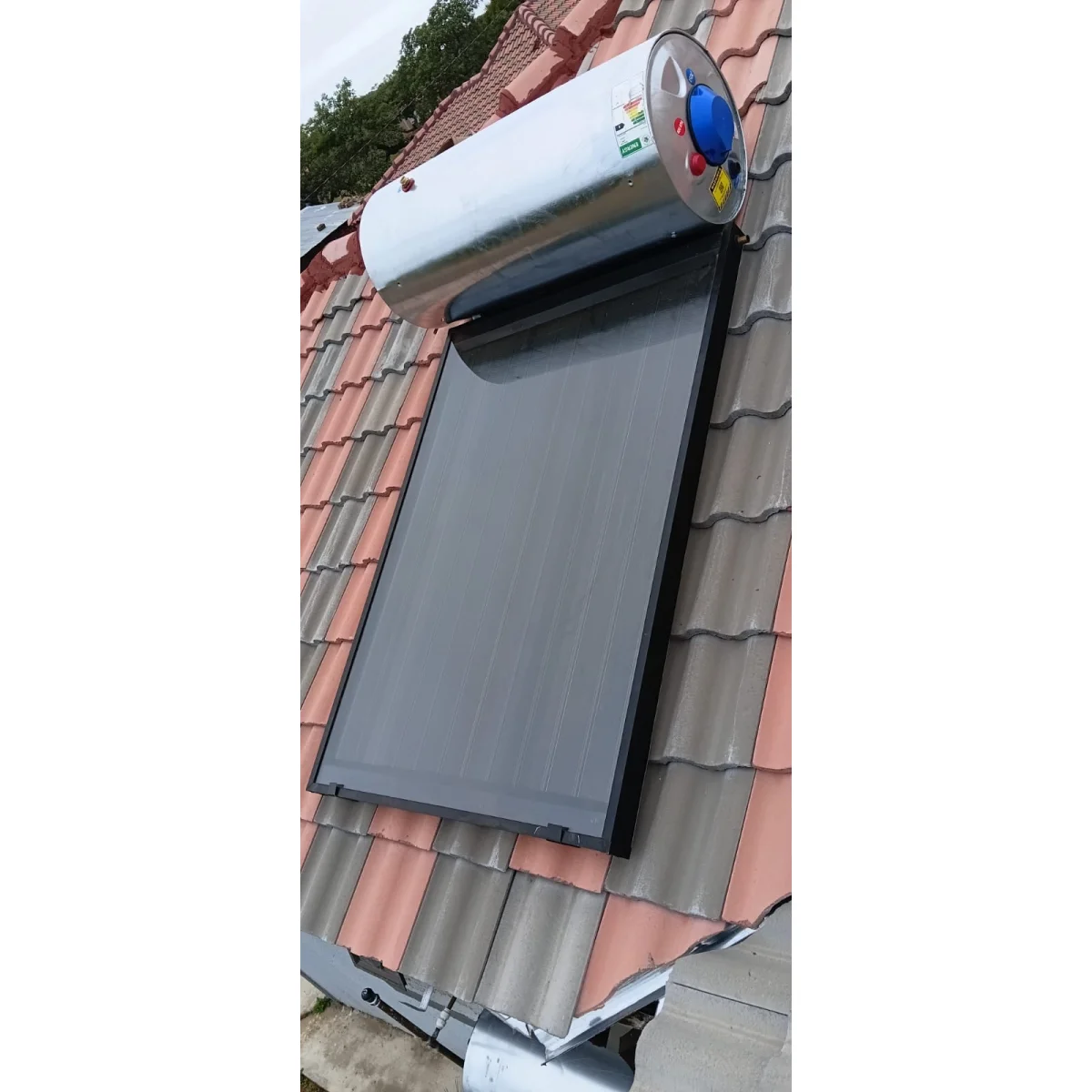 Plumbing, painting, and construction services